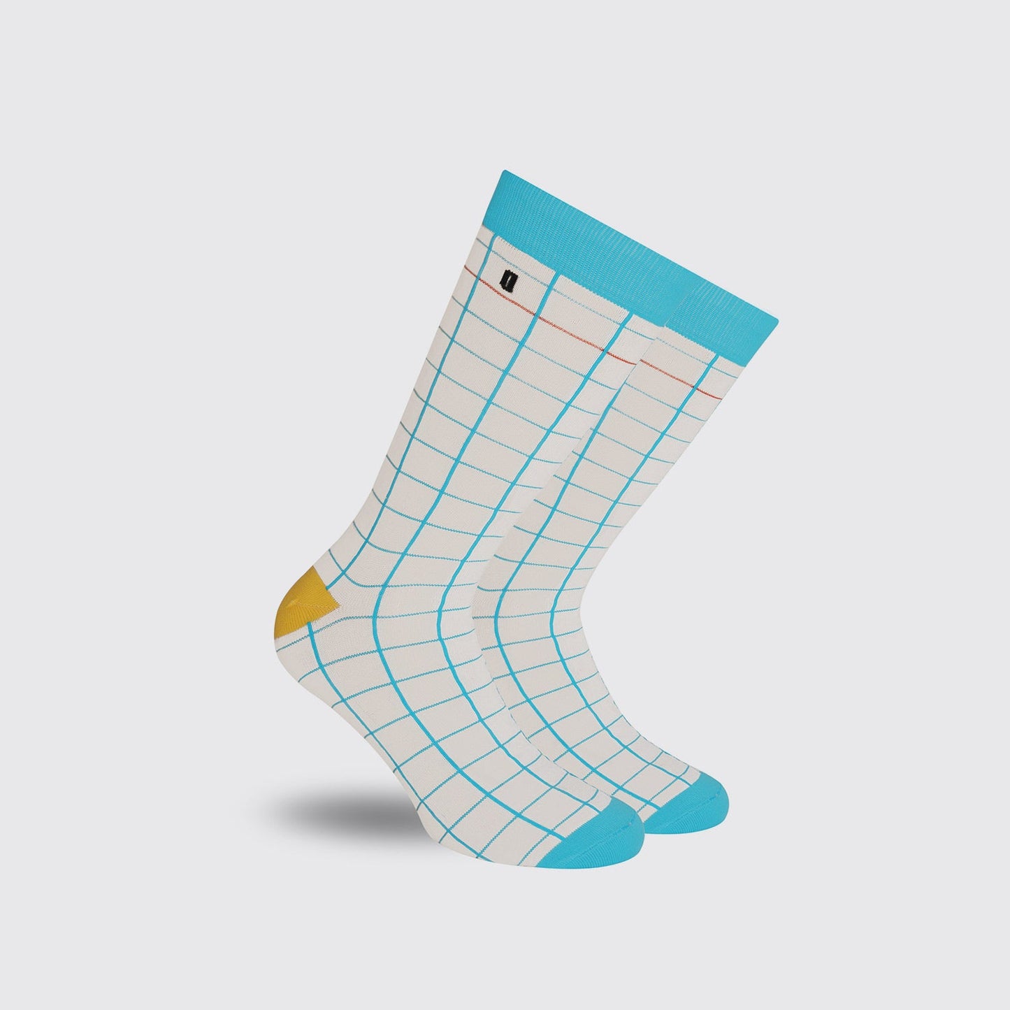 SOCKS / BLUE GRID
