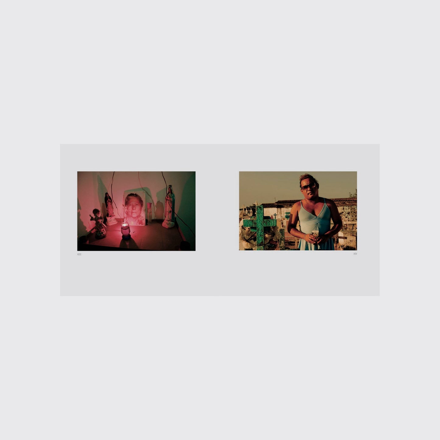 BOOK / REALITIES AND DESIRES. Susana Casarin, Arnoldo Kraus