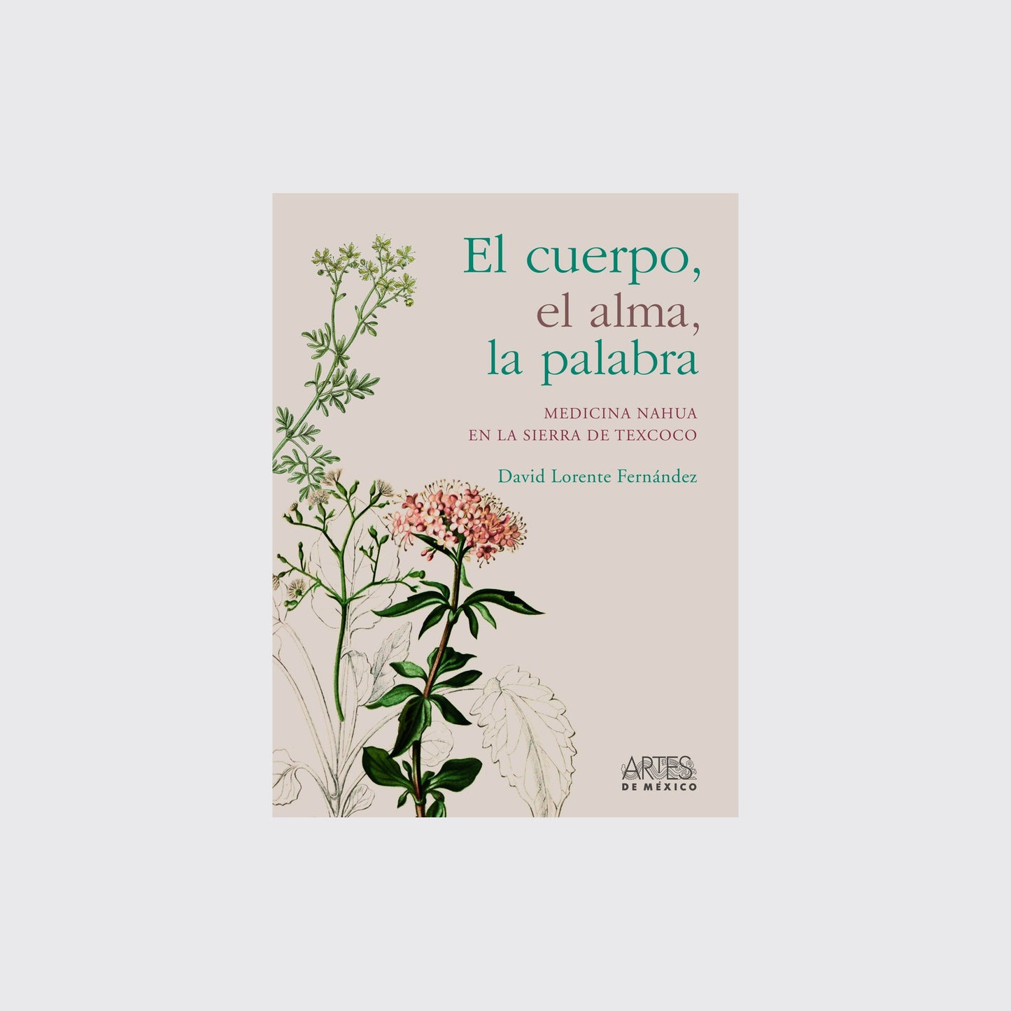 BOOK / THE BODY, THE SOUL, THE WORD. David Lorente Fernández