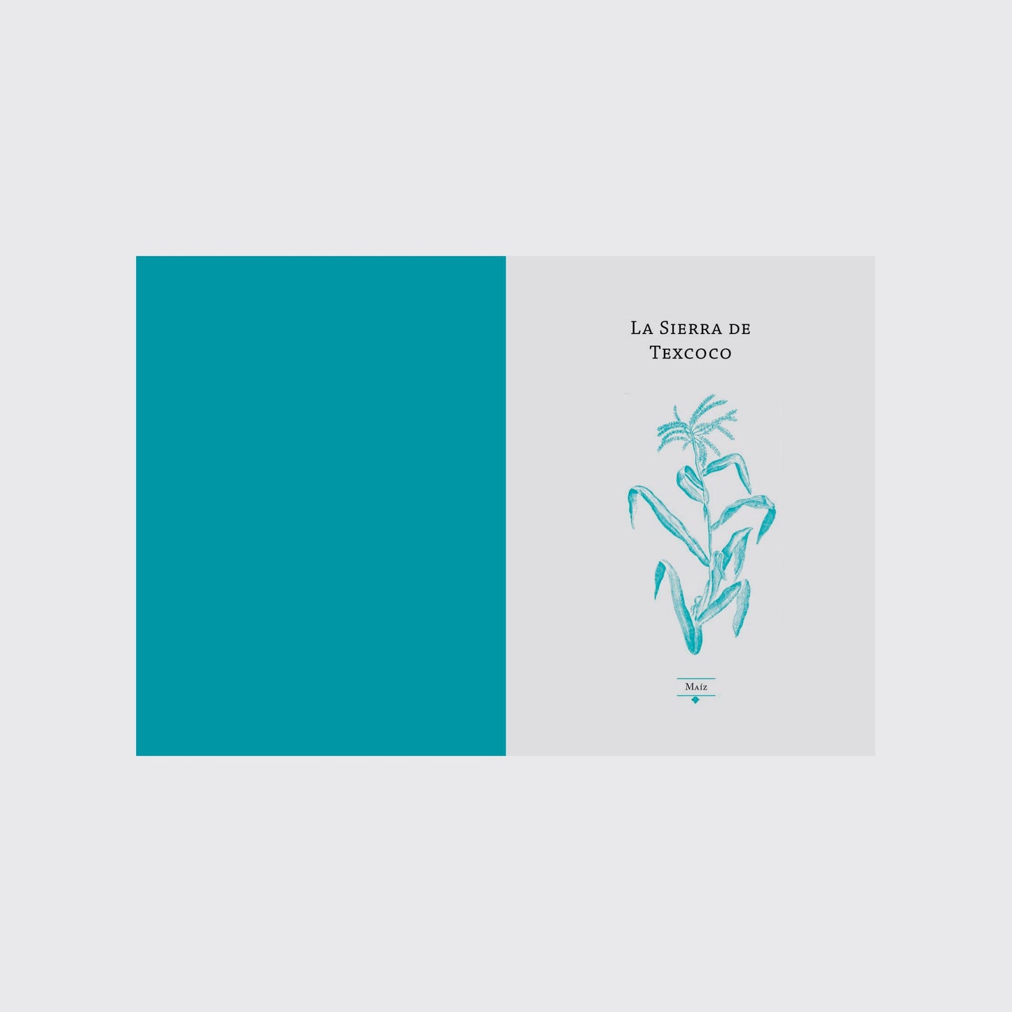 BOOK / THE BODY, THE SOUL, THE WORD. David Lorente Fernández