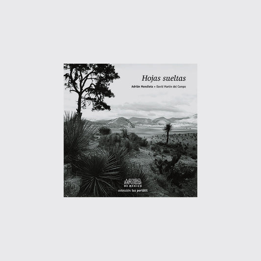 BOOK / LOOSE LEAVES. Adrián Mendieta, David Martín del Campo