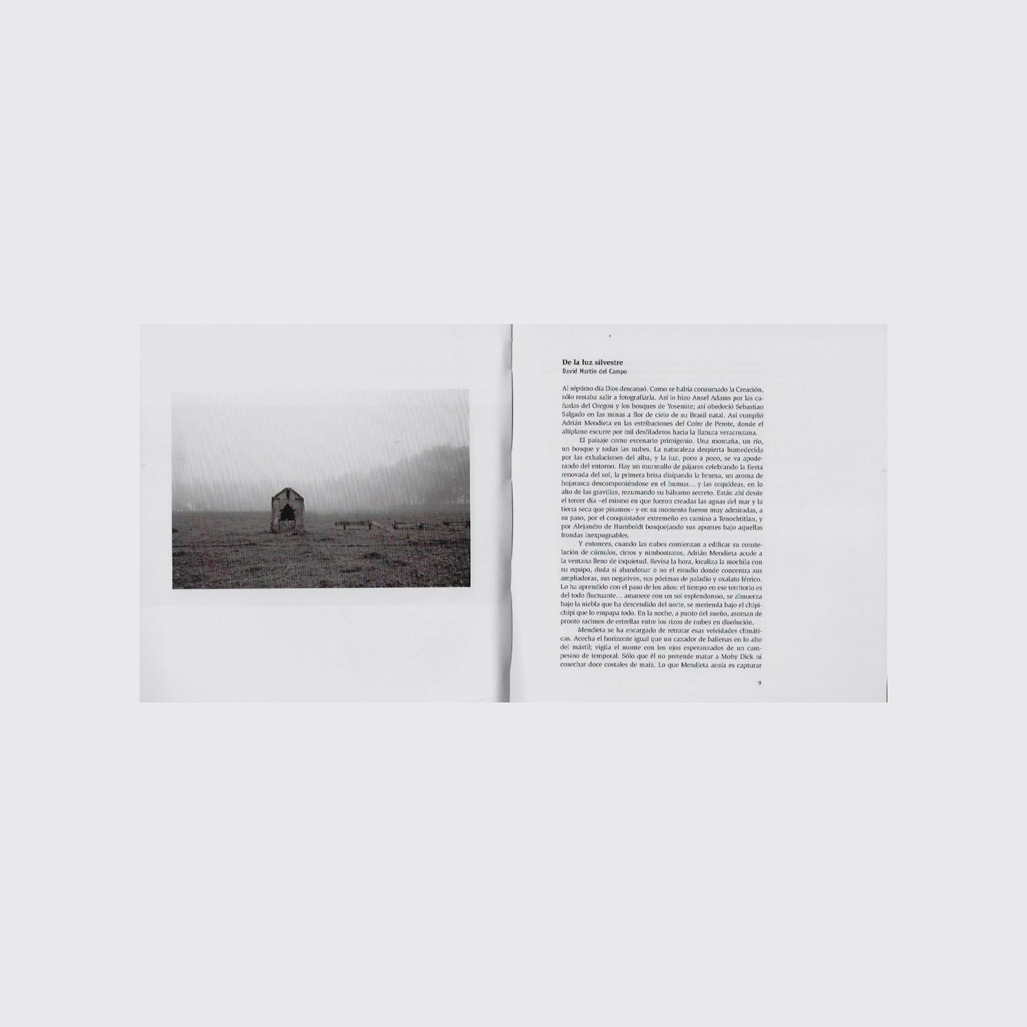 book / LOOSE LEAVES. Adrián Mendieta, David Martín del Campo