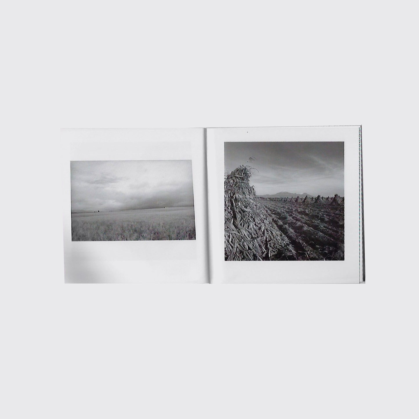 book / LOOSE LEAVES. Adrián Mendieta, David Martín del Campo