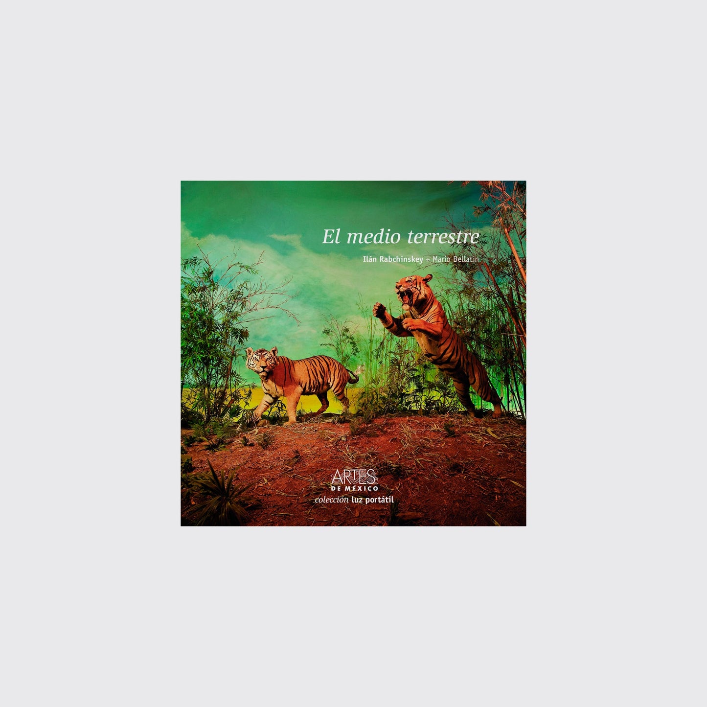 BOOK / THE EARTH'S ENVIRONMENT. Ilán Rabchinskey, Mario Bellatin