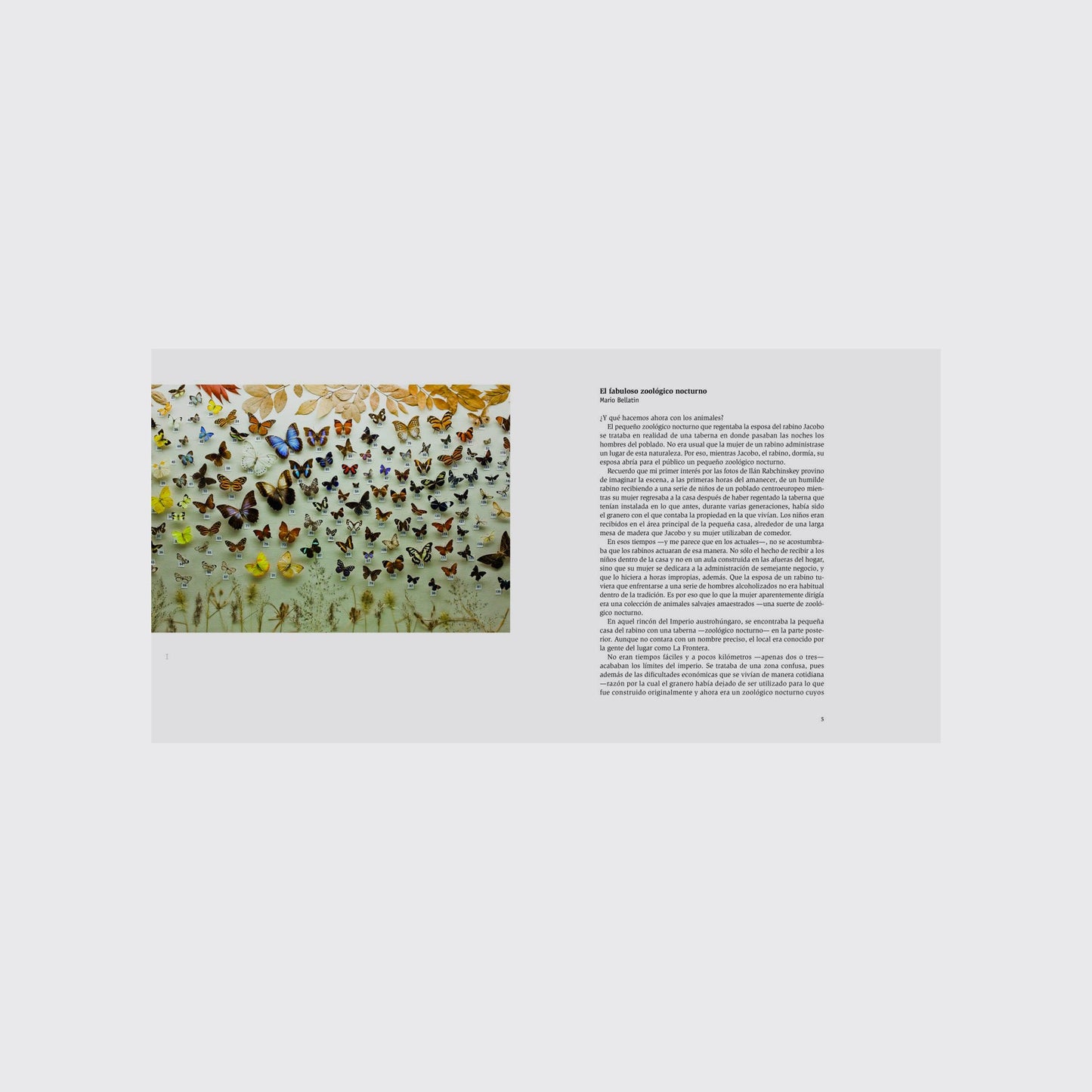 BOOK / THE EARTH'S ENVIRONMENT. Ilán Rabchinskey, Mario Bellatin