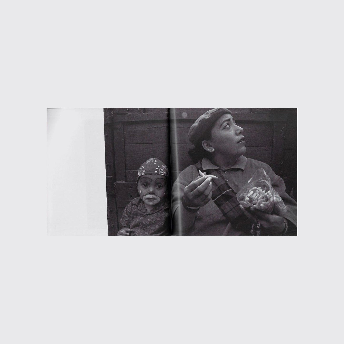 BOOK / THE INCREDIBLE WORLD. Mario Bellatin, Dominic Simmons