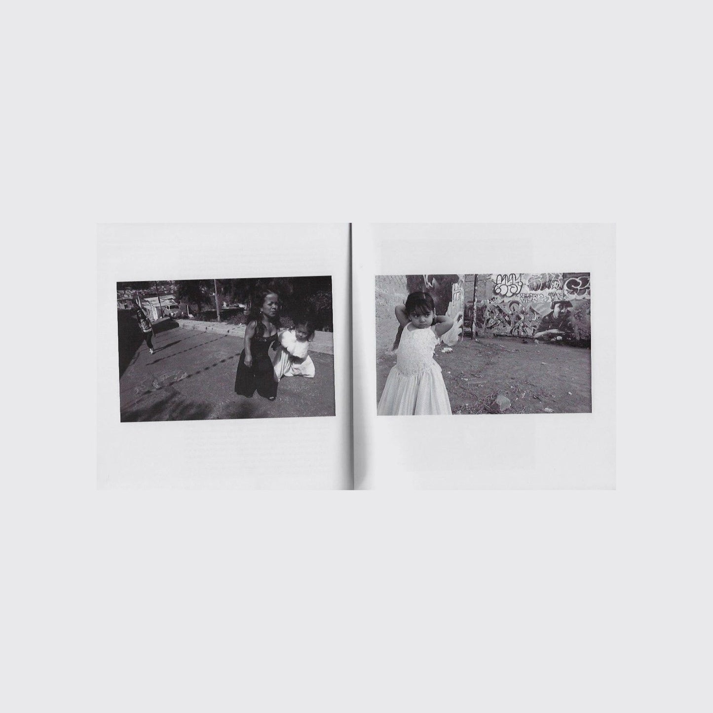 BOOK / THE INCREDIBLE WORLD. Mario Bellatin, Dominic Simmons