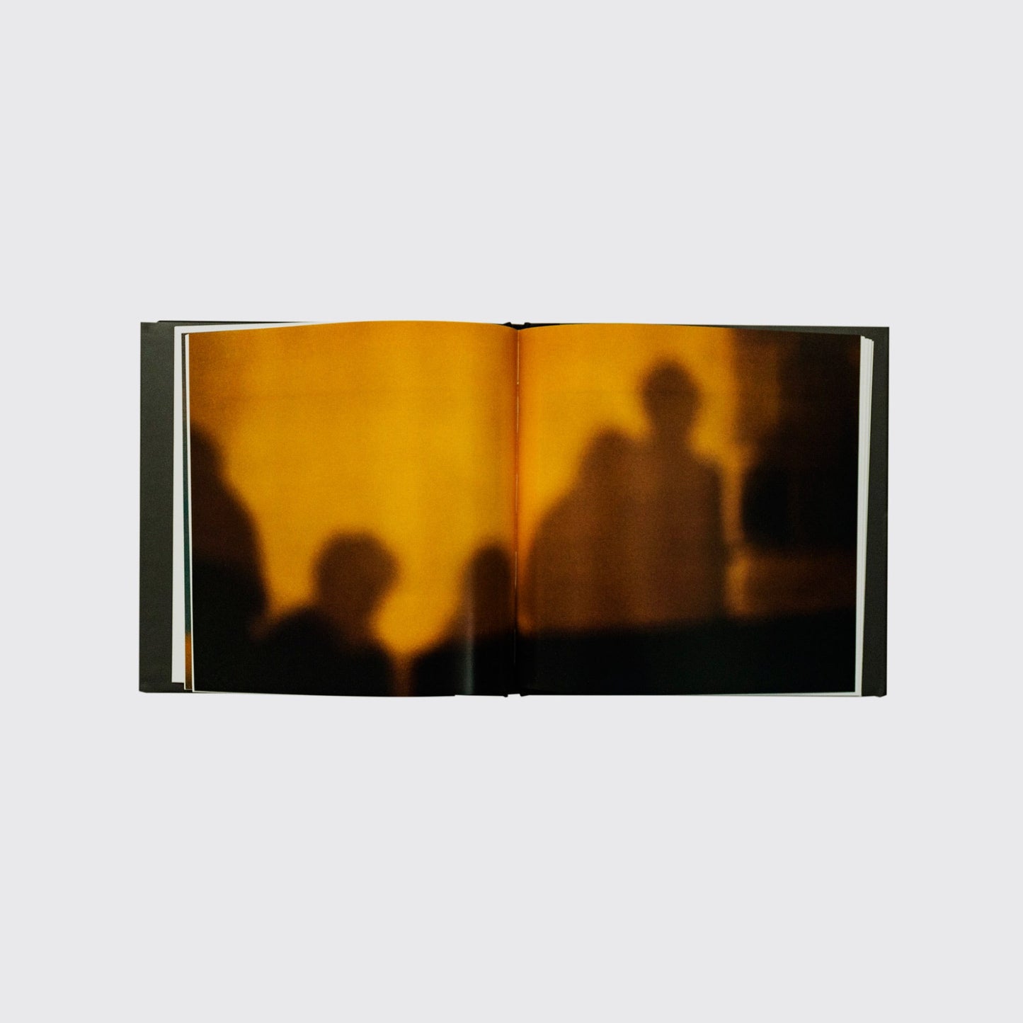 BOOK / SEVEN DIOPTRES. Nirvana Paz, Nuria Gómez Benet, Bernard Plossu