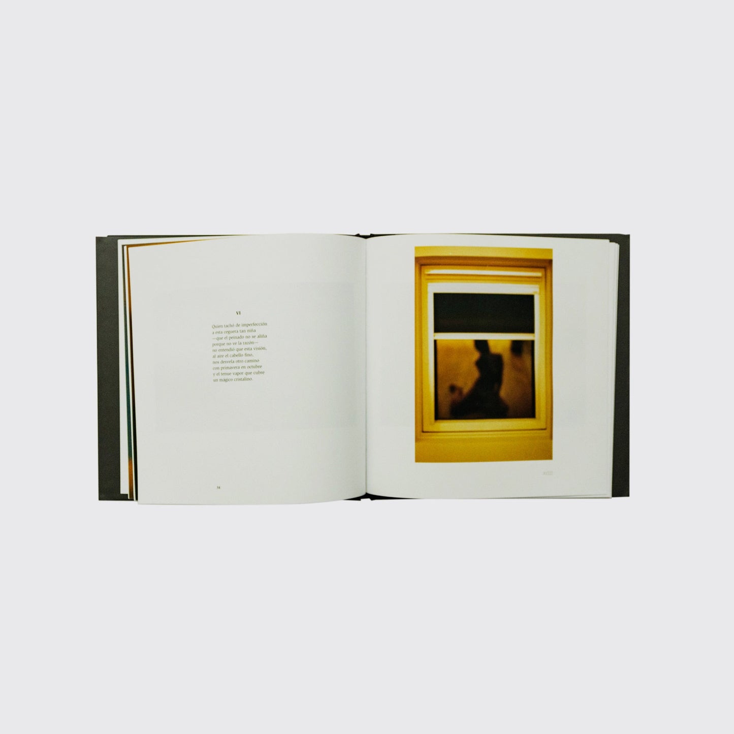 BOOK / SEVEN DIOPTRES. Nirvana Paz, Nuria Gómez Benet, Bernard Plossu