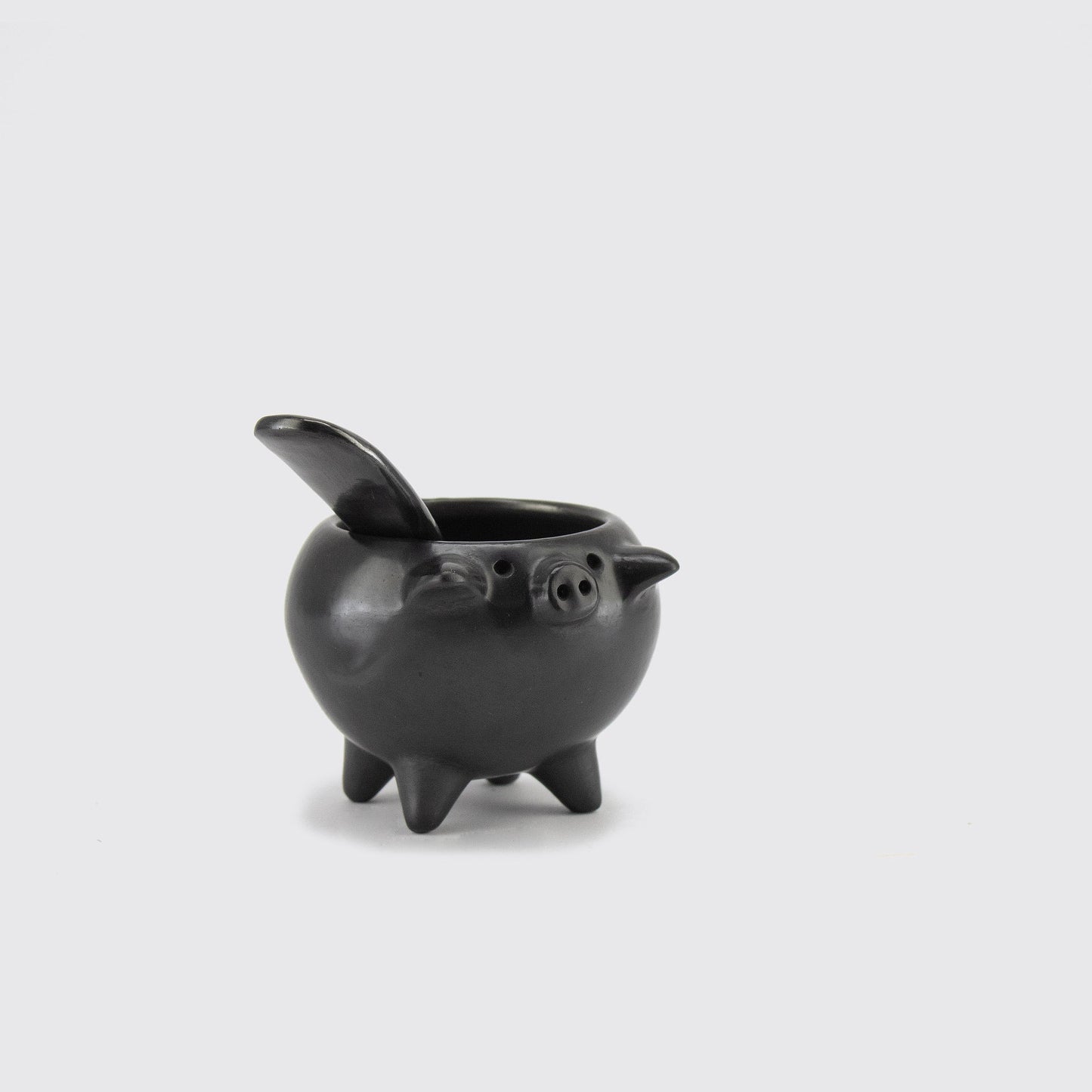 SALSA PIGGIE