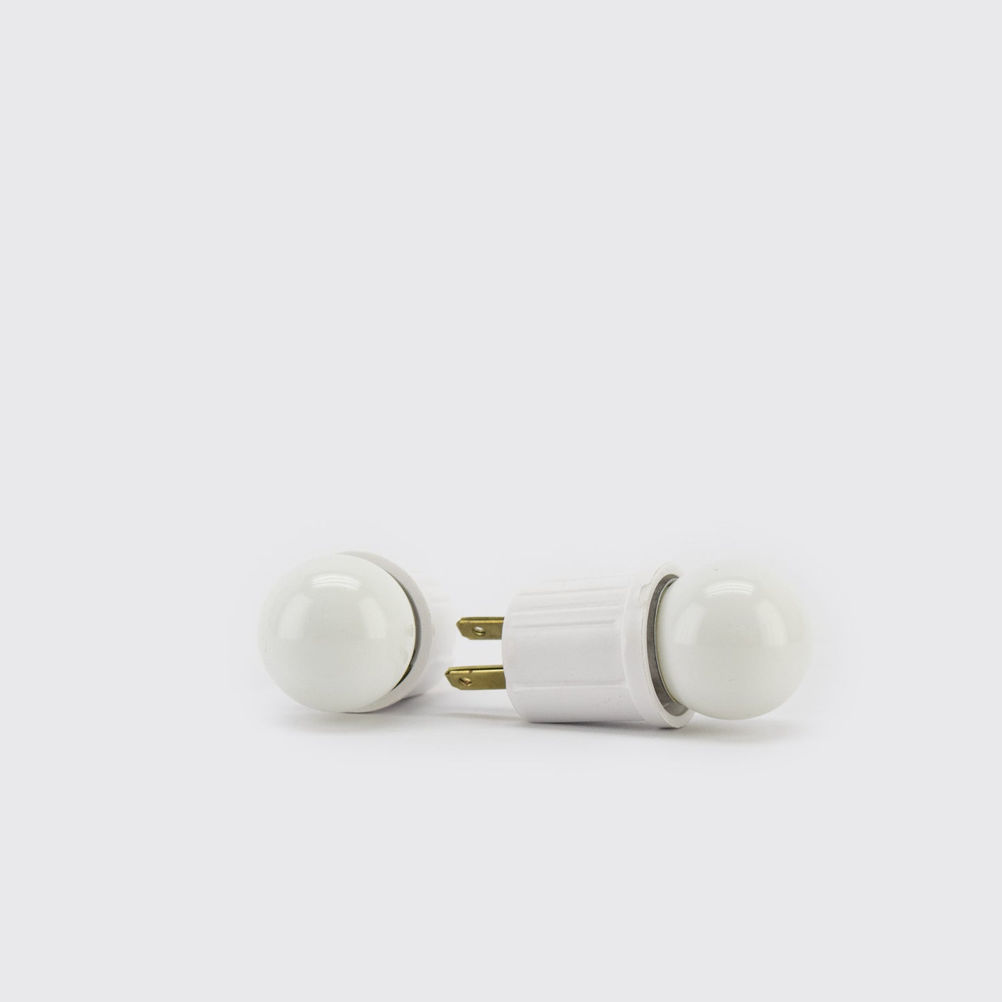 BULB + SOCKET