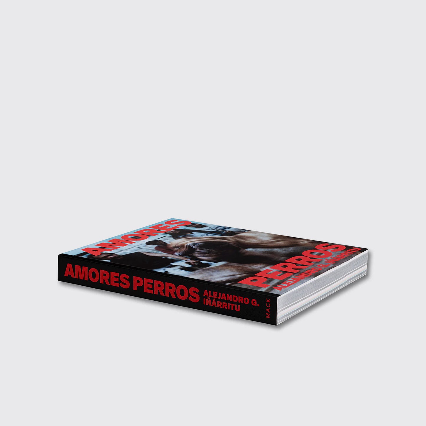 LIBRO / AMORES PERROS. Alejandro G. Iñárritu