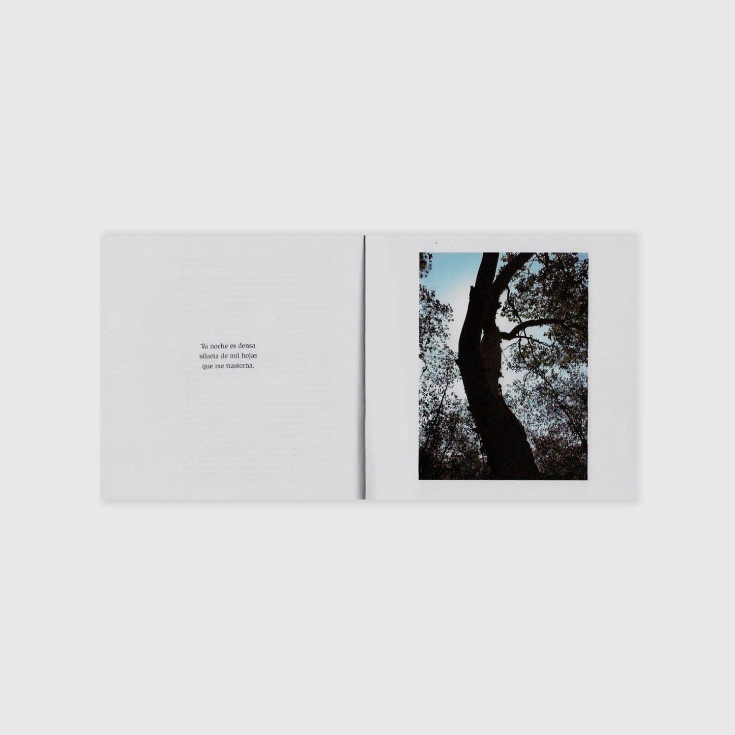 BOOK / THE EROTICIZED FOREST. Alicia Ahumada, Alberto Ruy Sánchez