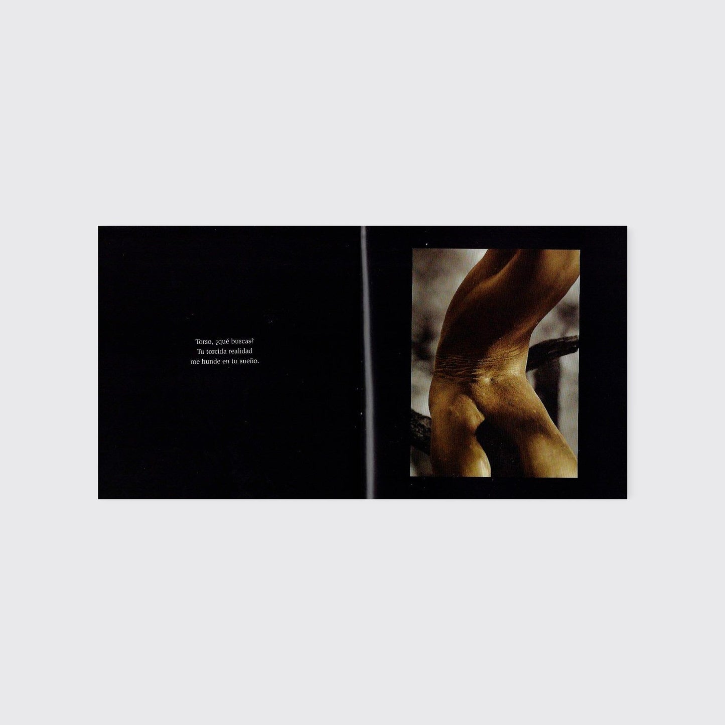 BOOK / THE EROTICIZED FOREST. Alicia Ahumada, Alberto Ruy Sánchez