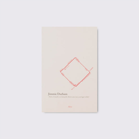 BOOK / BETWEEN FURNITURE AND REAL ESTATE. Jimmie Durham