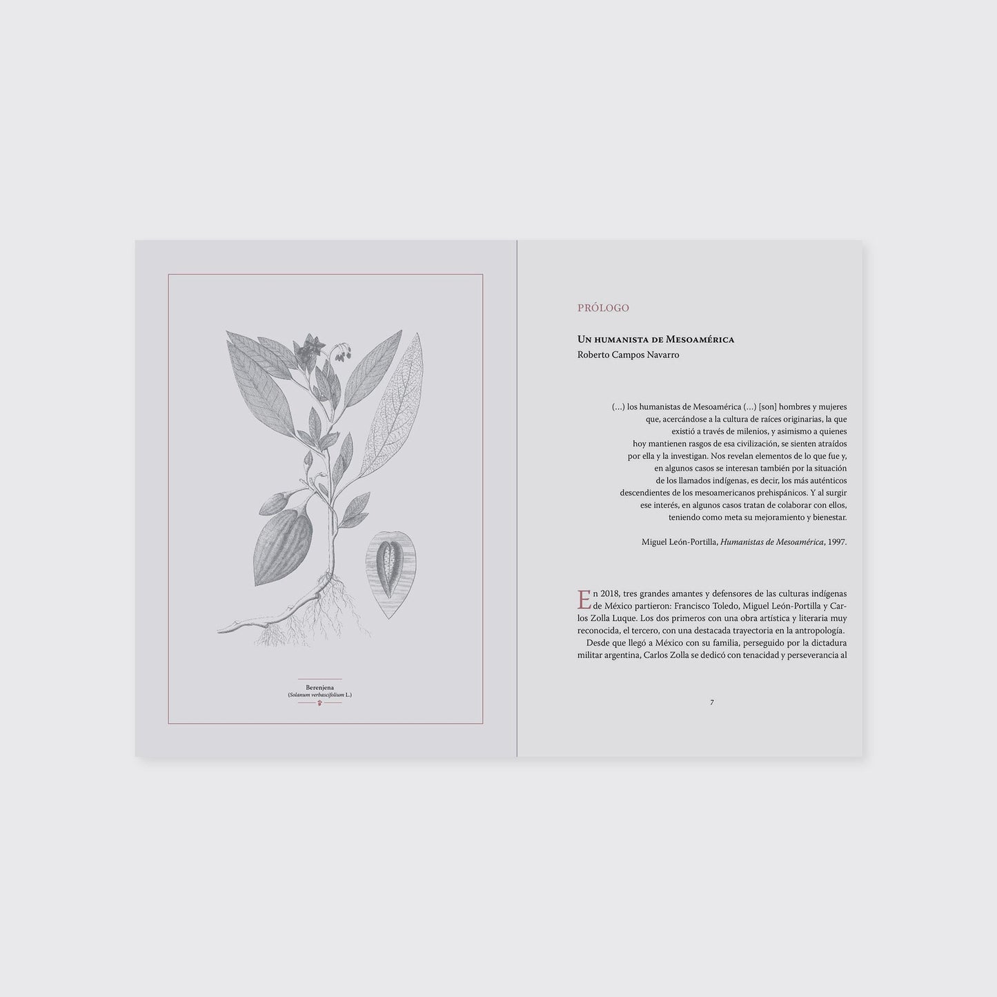 BOOK / EVIL EYE, EATING OUT AND OTHER TRADITIONAL DISEASES. Carlos Zolla Luque, Sofía del Bosque, Antonio Tascón