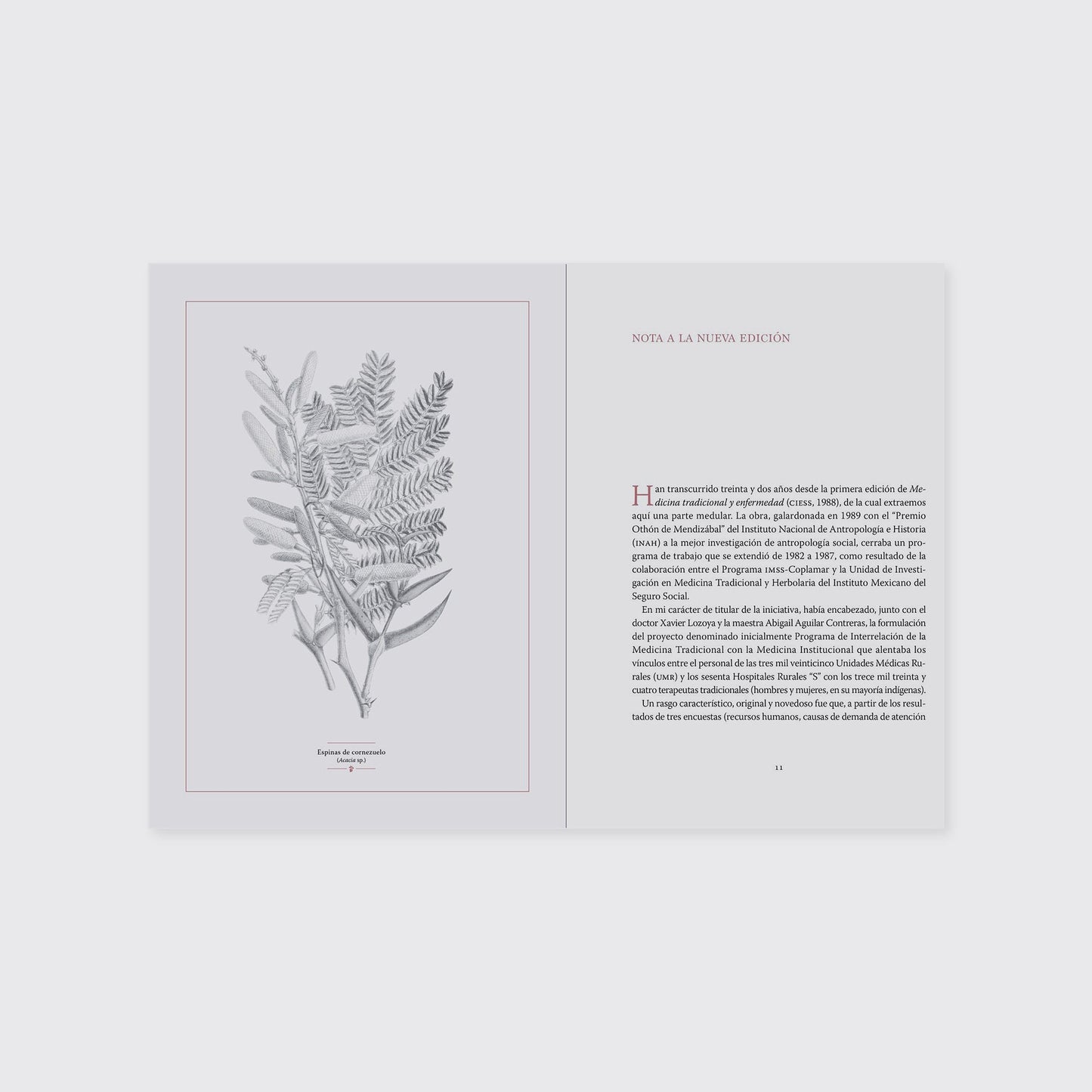 BOOK / EVIL EYE, EATING OUT AND OTHER TRADITIONAL DISEASES. Carlos Zolla Luque, Sofía del Bosque, Antonio Tascón