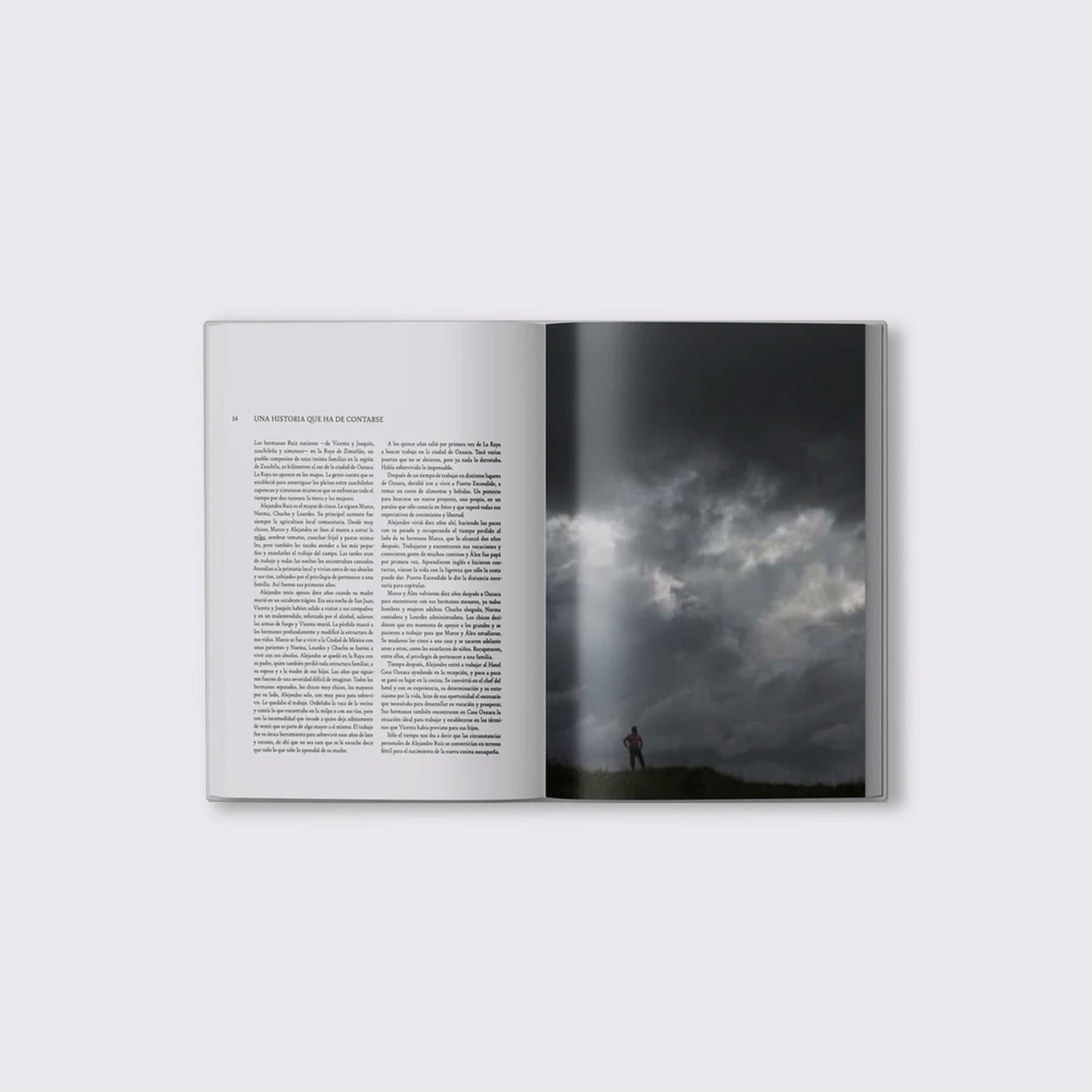 BOOK / OAXACA CUISINE. Alejandro Ruiz