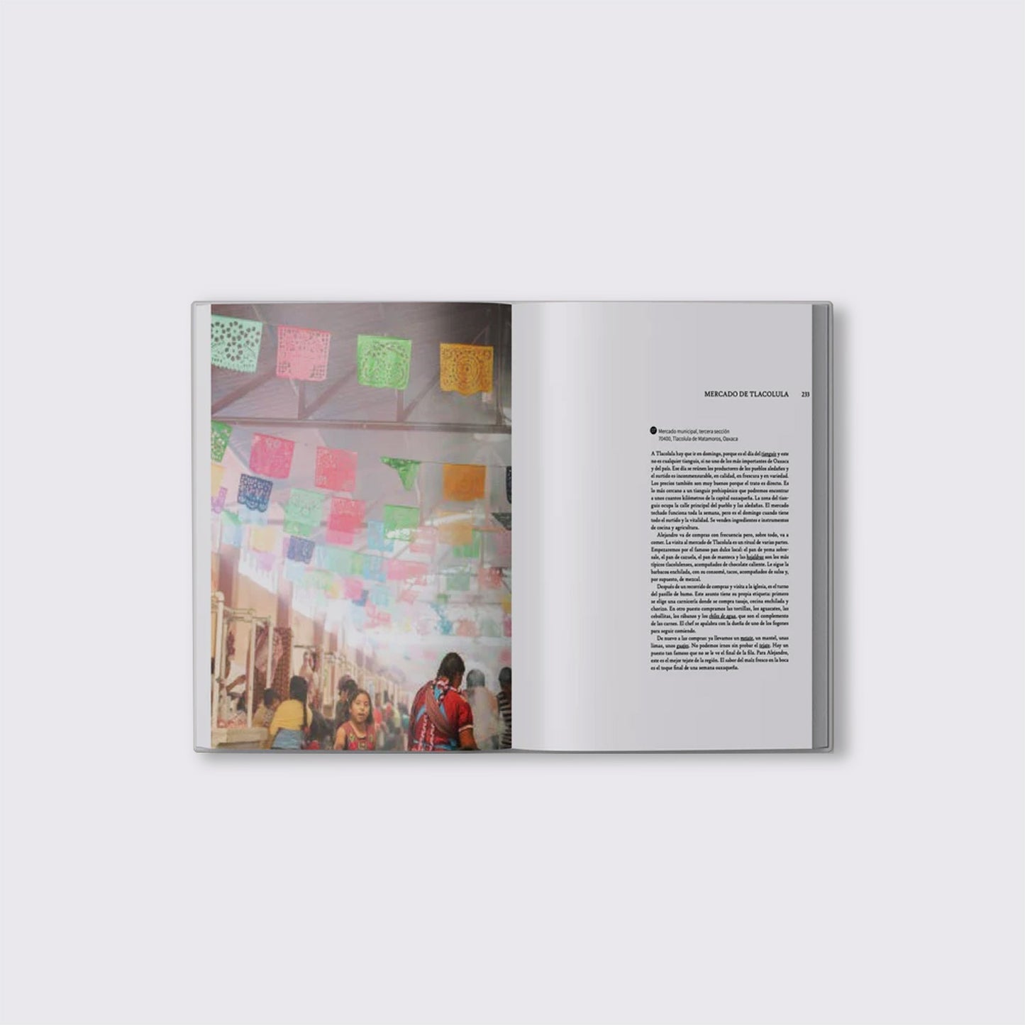 BOOK / OAXACA CUISINE. Alejandro Ruiz