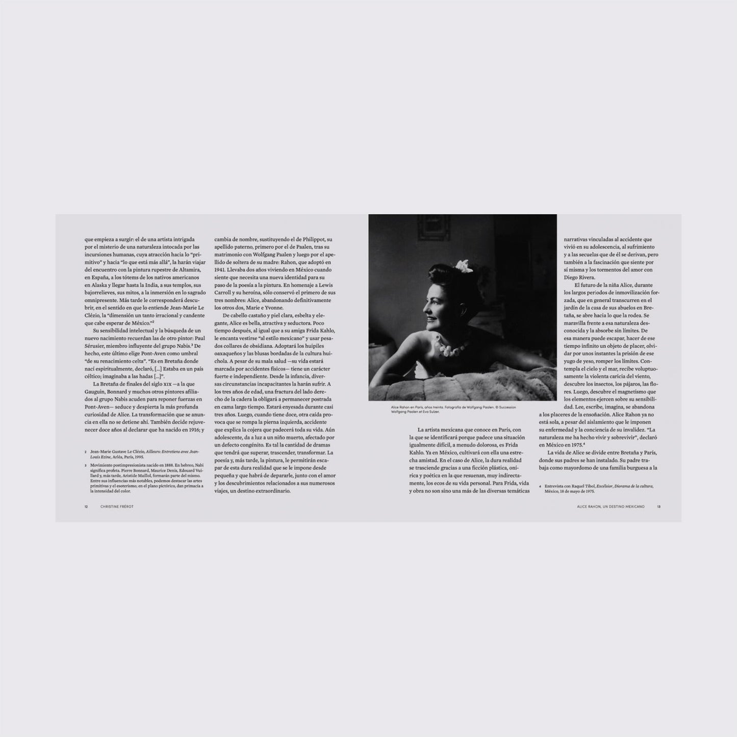 BOOK / ALICE RAHON, A MEXICAN DESTINATION. Christine Frerot