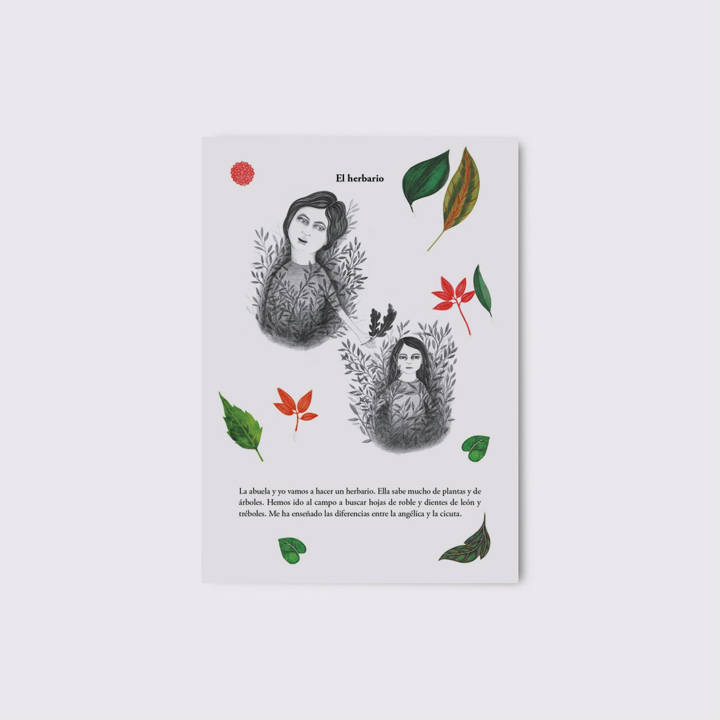 LIBRO / FLOR FANÉ. Sara Morante