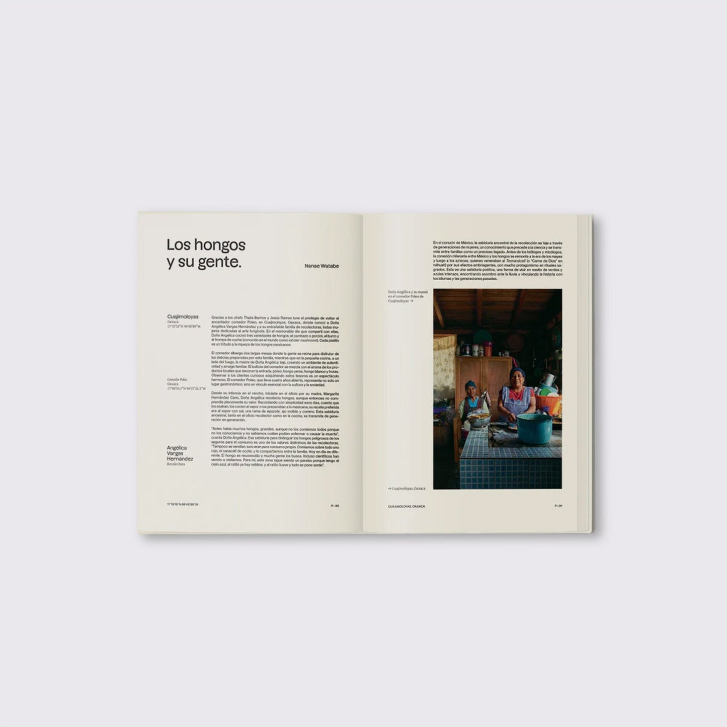 BOOK / STATE OF FUNGI. Nanae Watabe