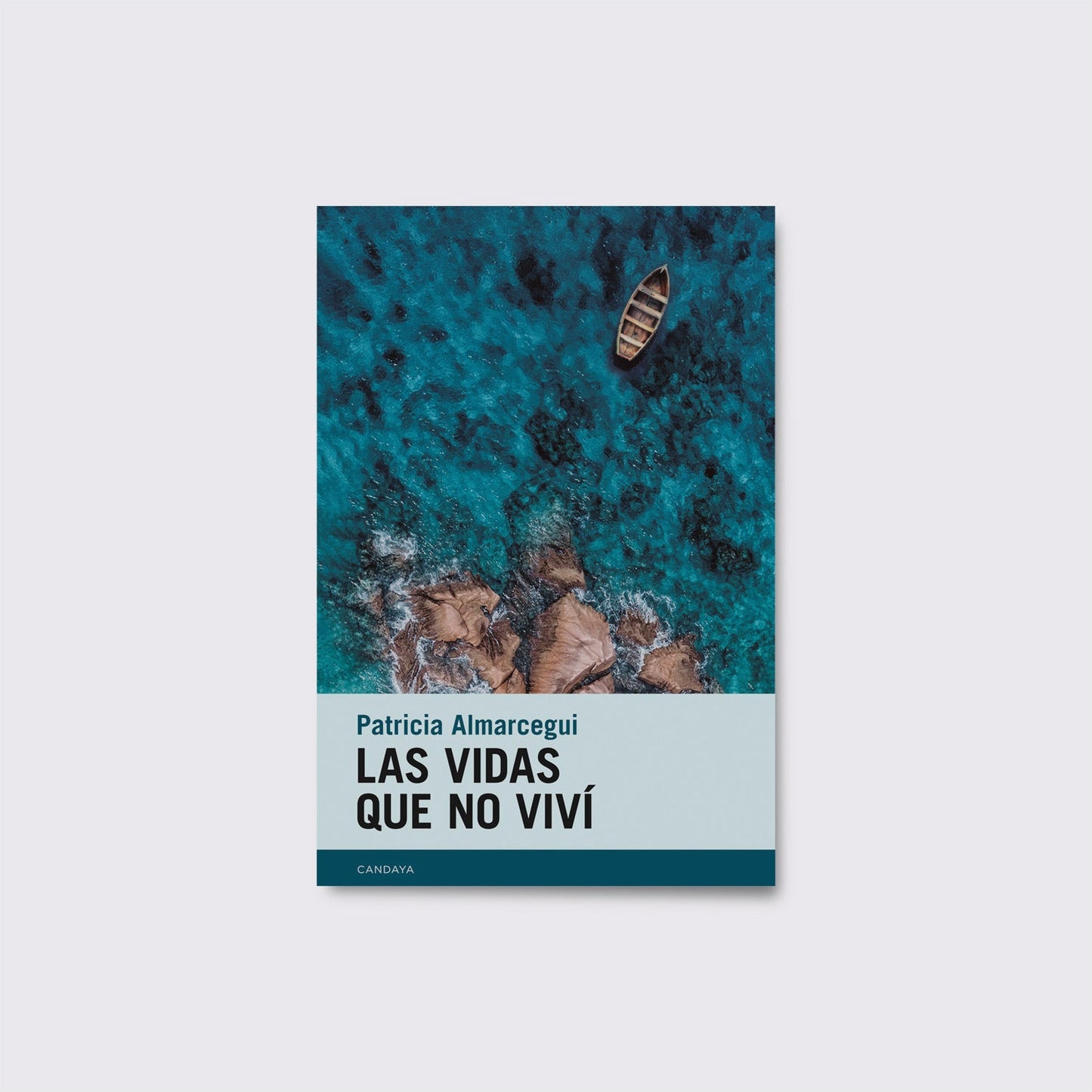 BOOK / THE LIVES I DIDN'T LIVE. Patricia Almarcegui
