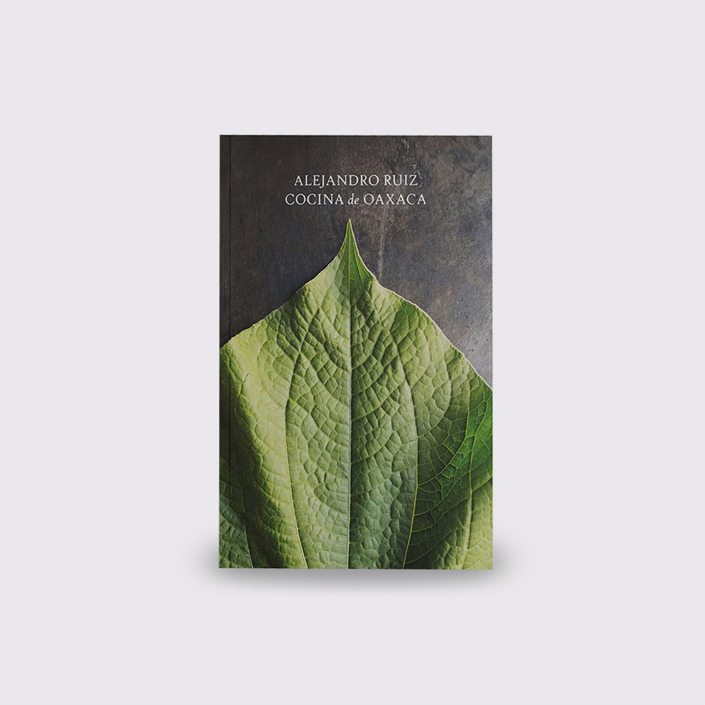 BOOK / OAXACA CUISINE. Alejandro Ruiz