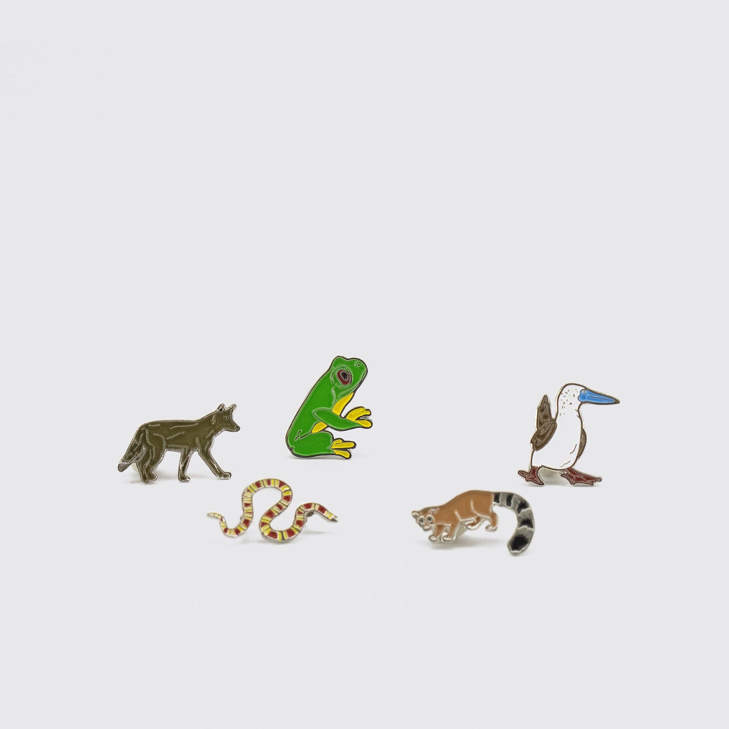 PIN / CACOMIXTLE
