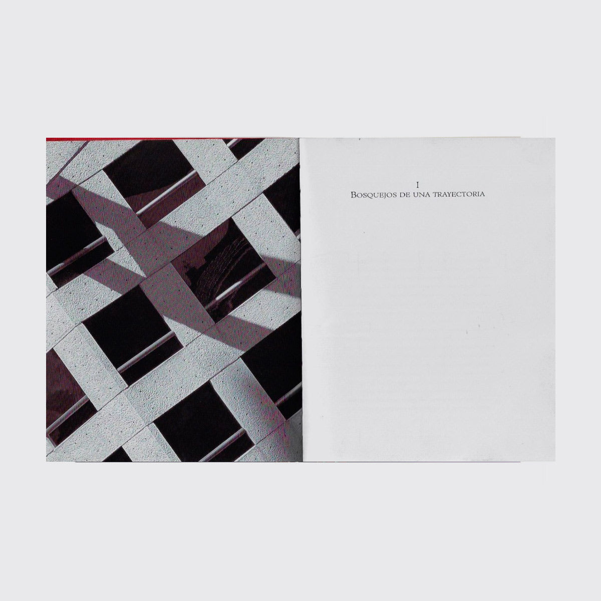 BOOK / RETRATO DE ARQUITECTO CON CIUDAD. Teodoro González de León