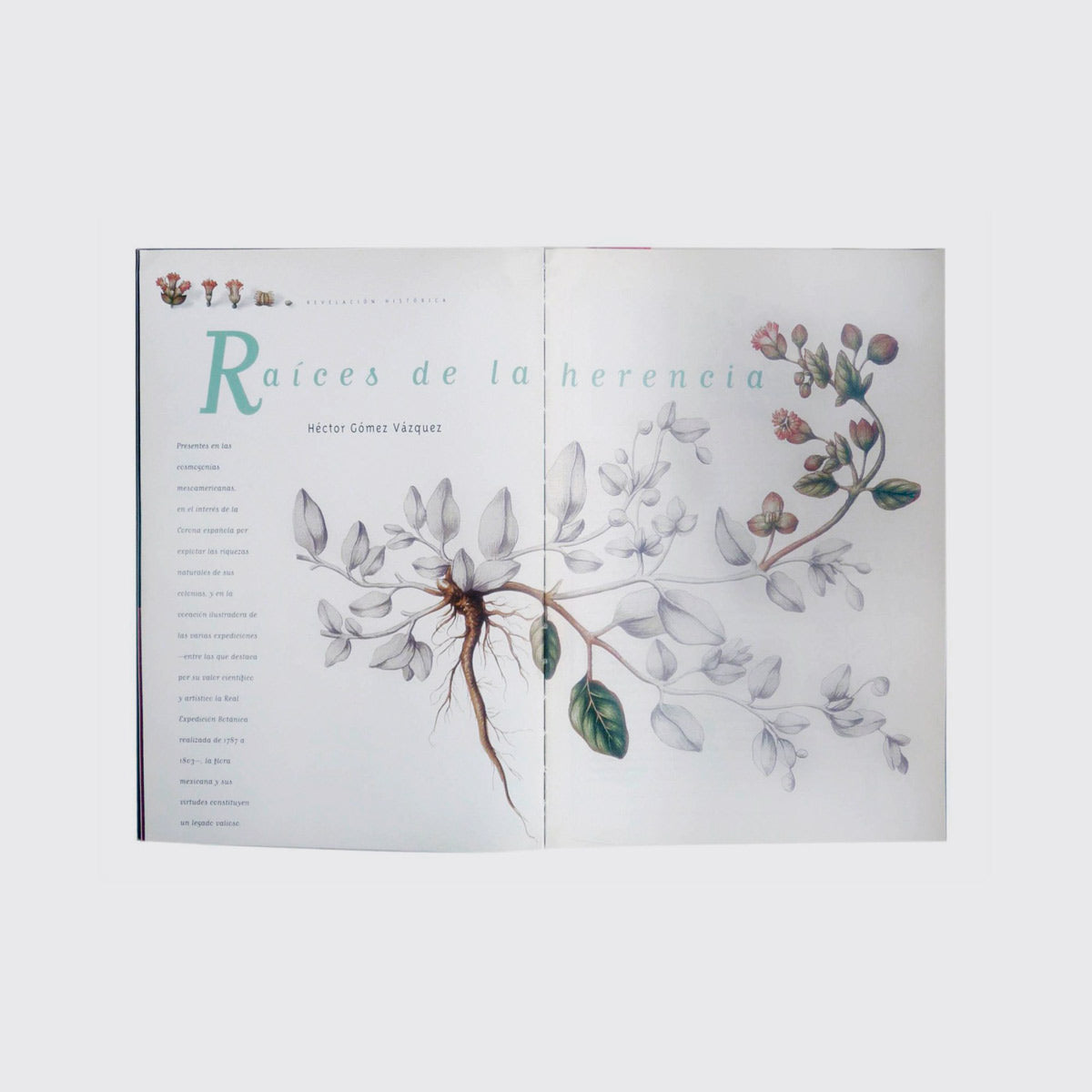 ARTS OF MEXICO N.47 / FLOWERS
