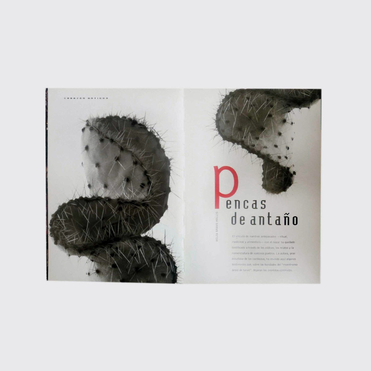 ARTS OF MEXICO N.59 / THE NOPAL
