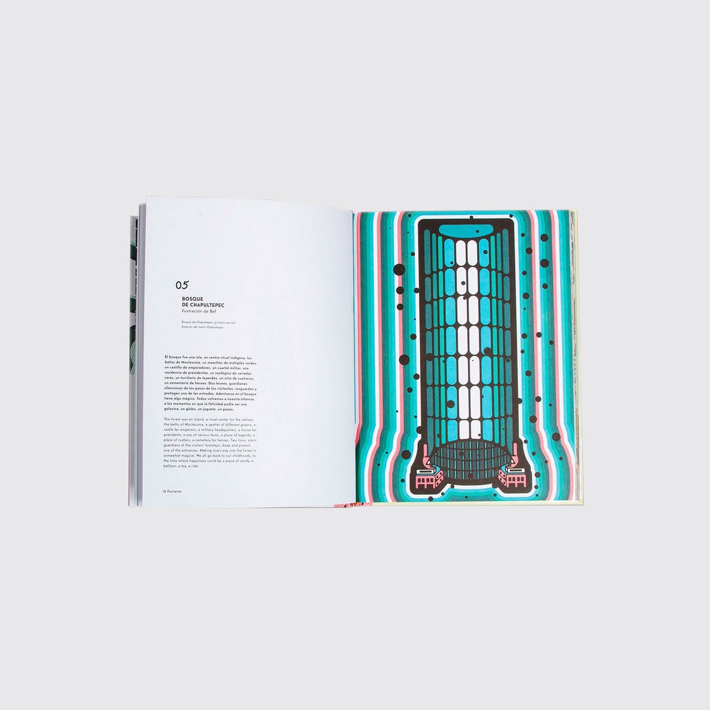 BOOK / MEXICO CITY 50 ICONS