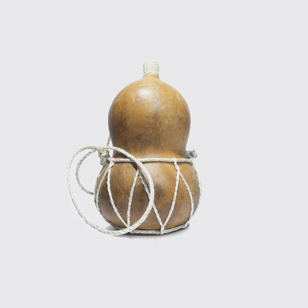 SEED CONTAINER