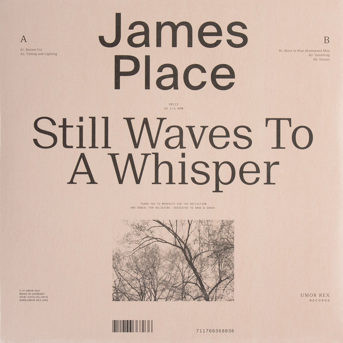 LP / JAMES PLACE — Still Waves to a Whisper
