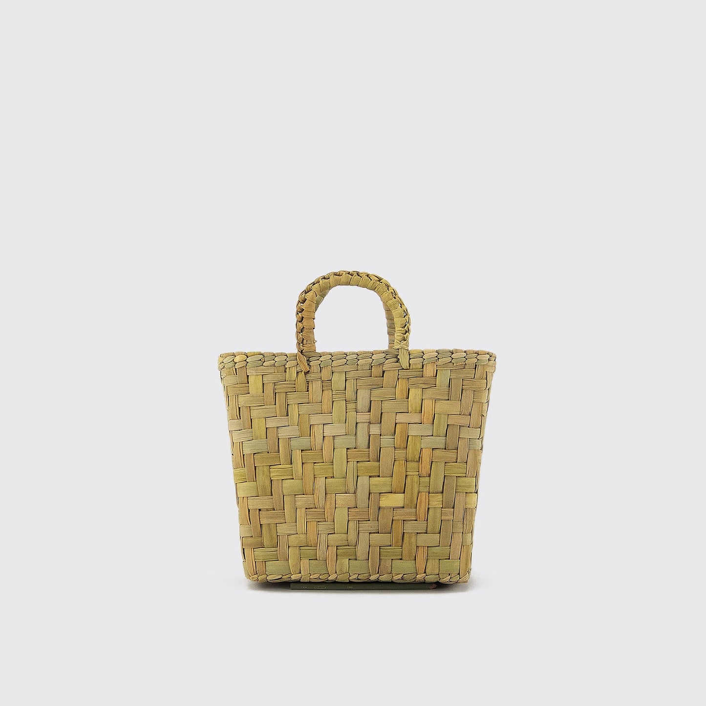 PALM HAND BAG