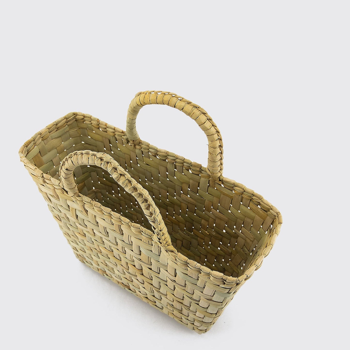 PALM HAND BAG