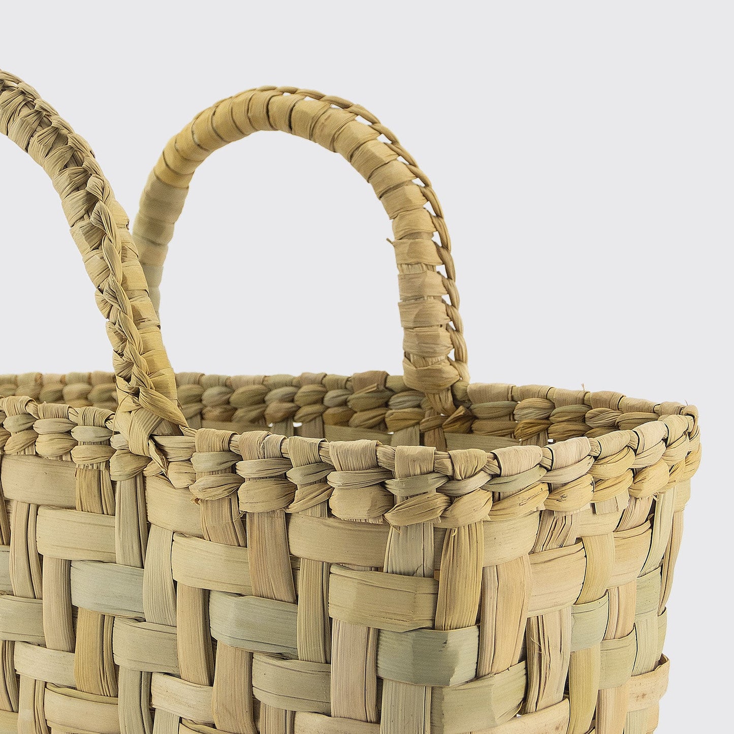 PALM HAND BAG