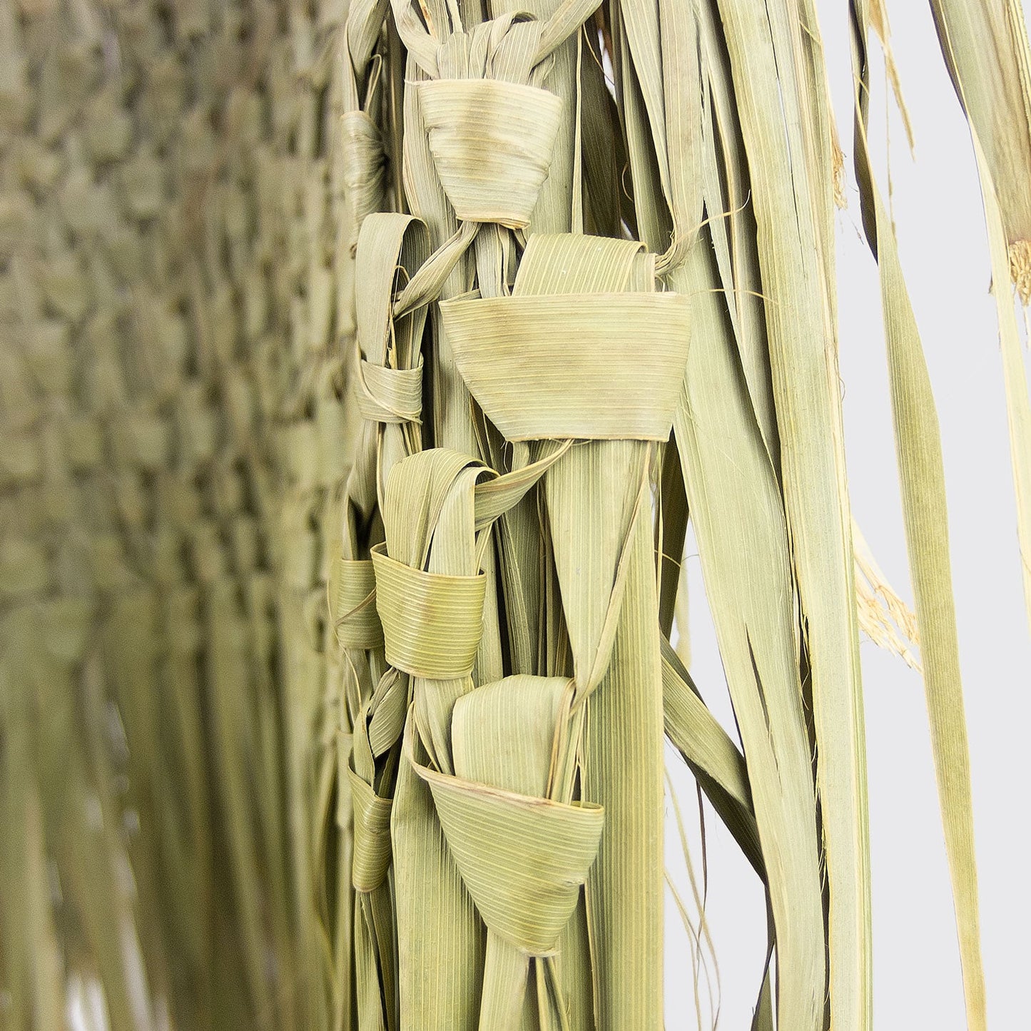 PALM LEAF CAPE