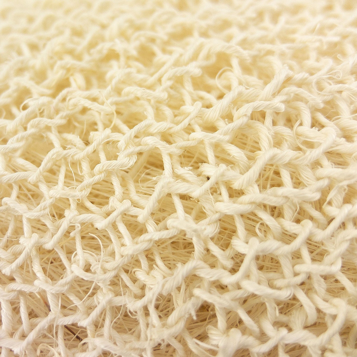 BATH SPONGE