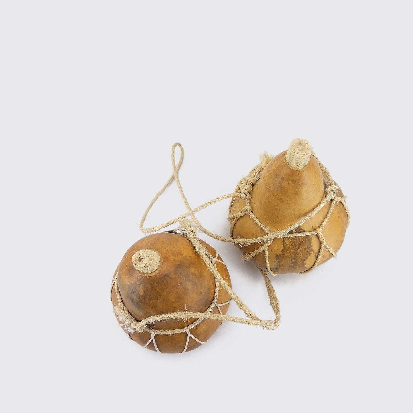 SEED CONTAINER