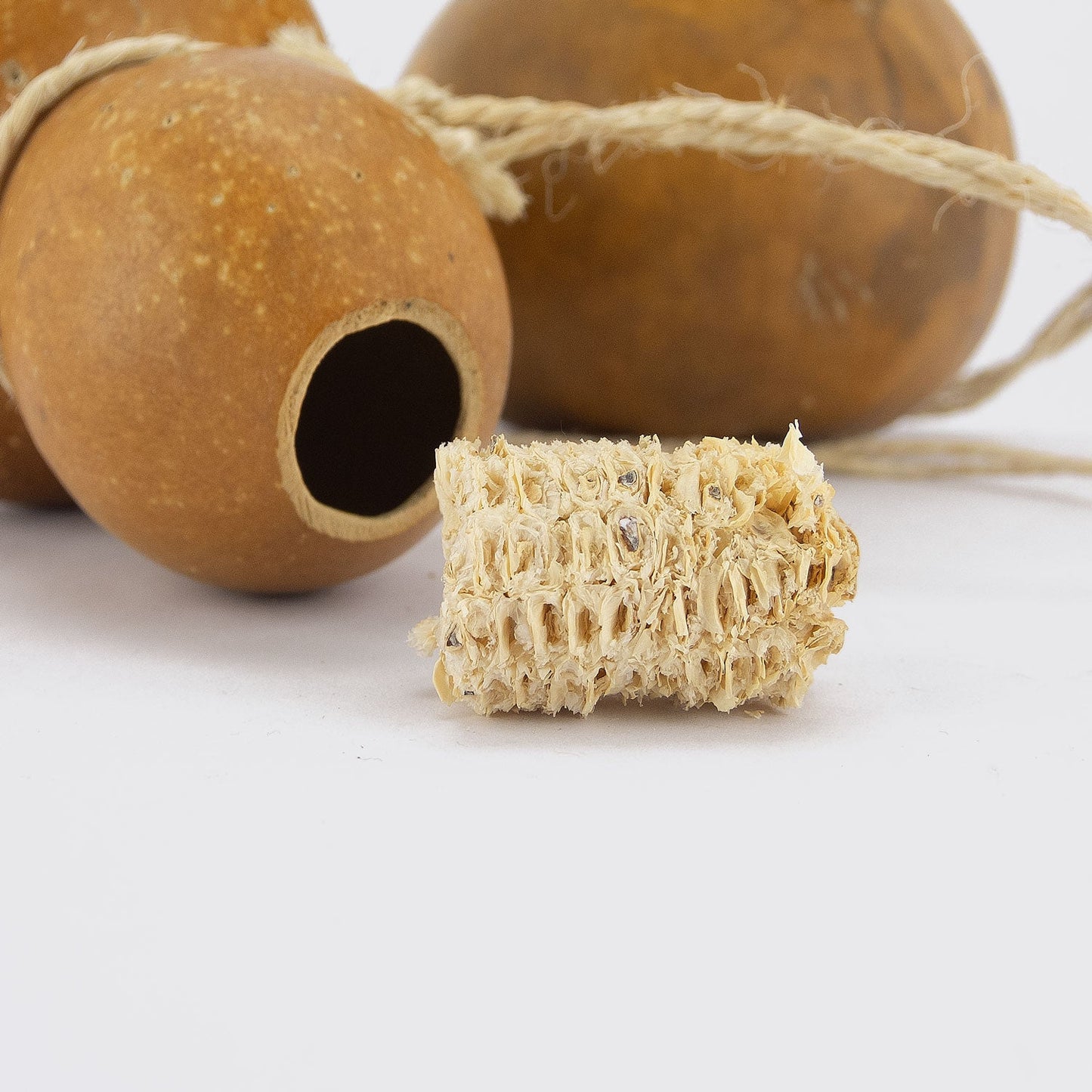SEED CONTAINER