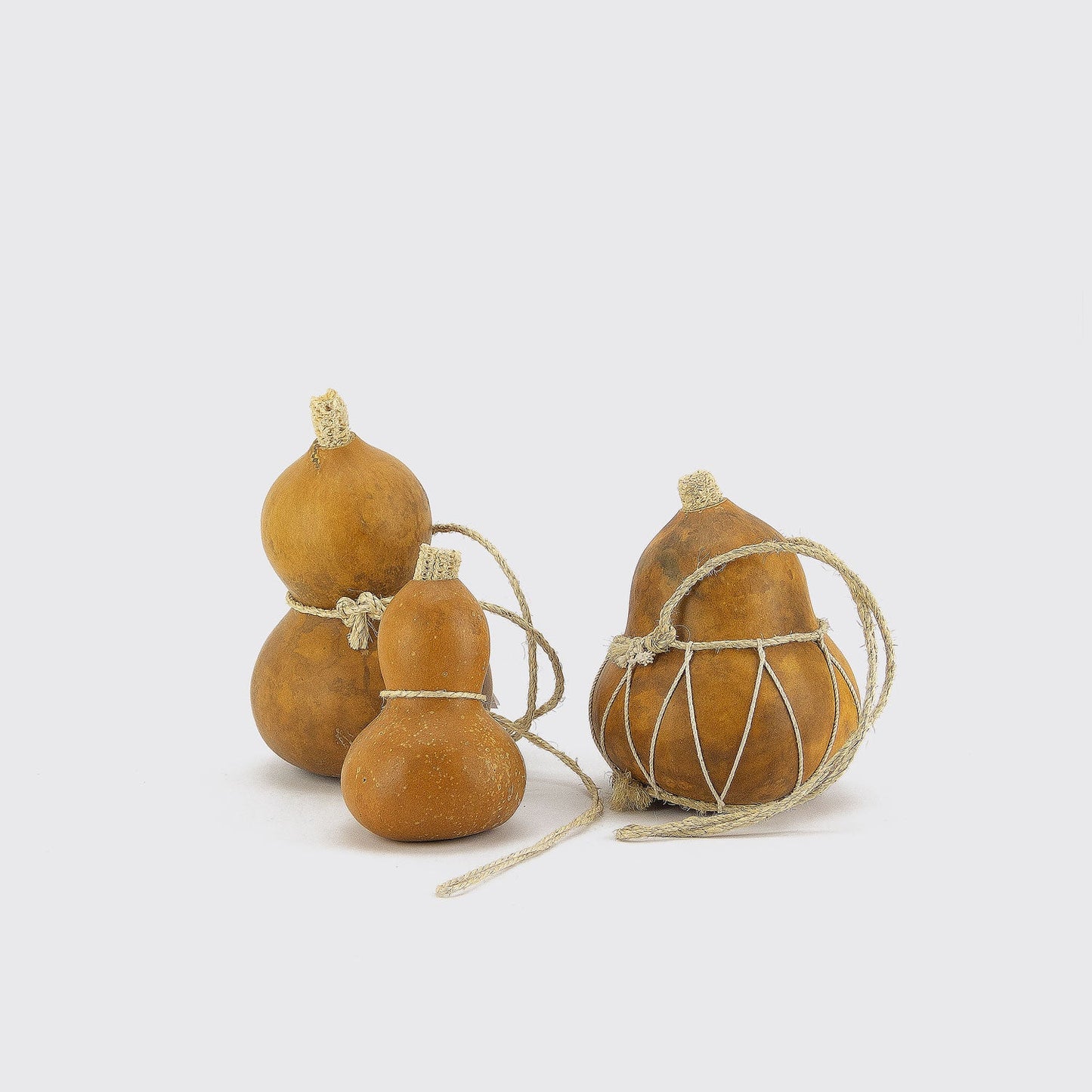 SEED CONTAINER