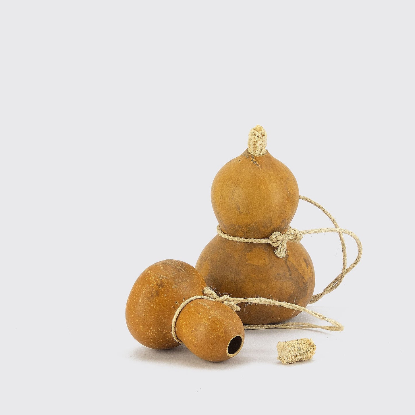 SEED CONTAINER
