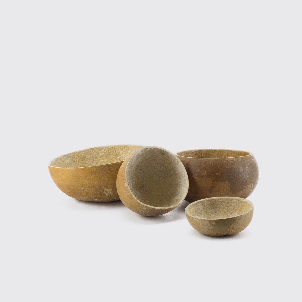 SEED BASIN