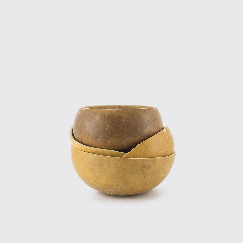 SEED BASIN