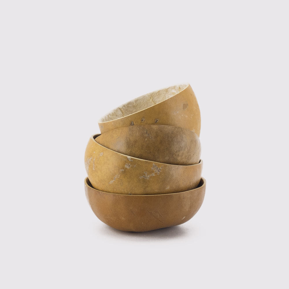 SEED BASIN