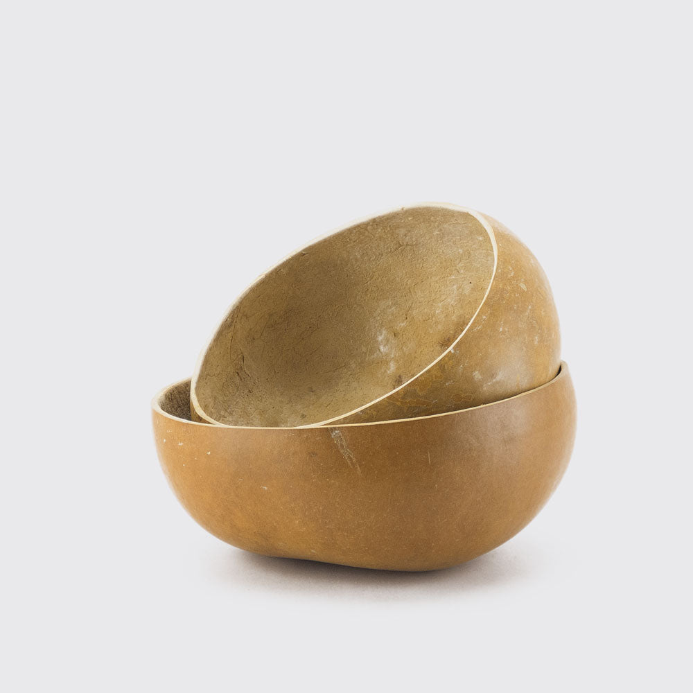 SEED BASIN