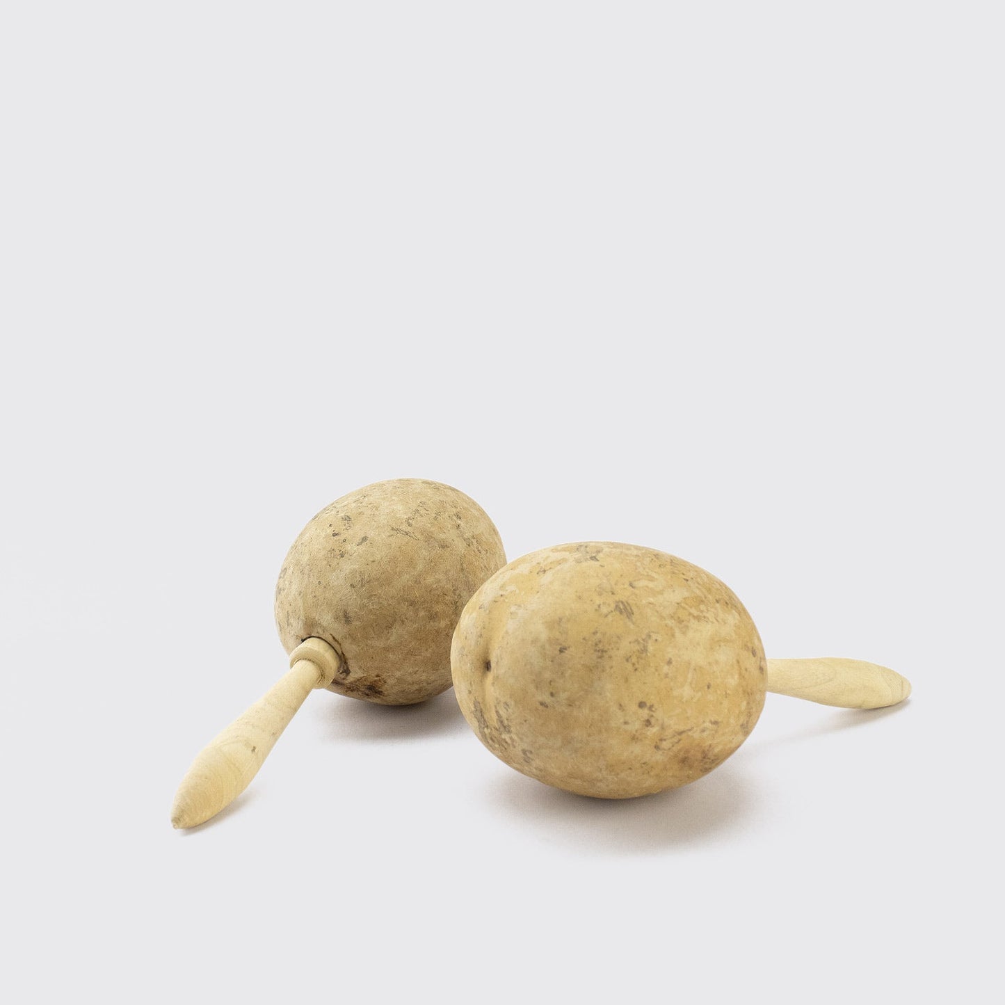 TROPICAL MARACA