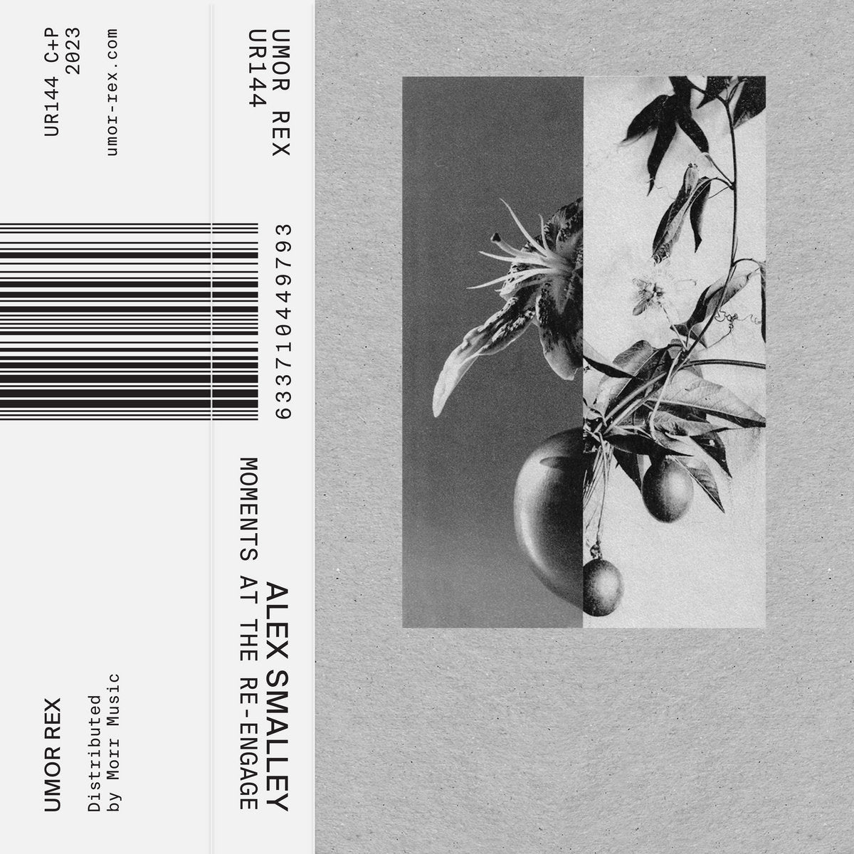 CASS / ALEX SMALLEY - Moments at the Re-engage / LP